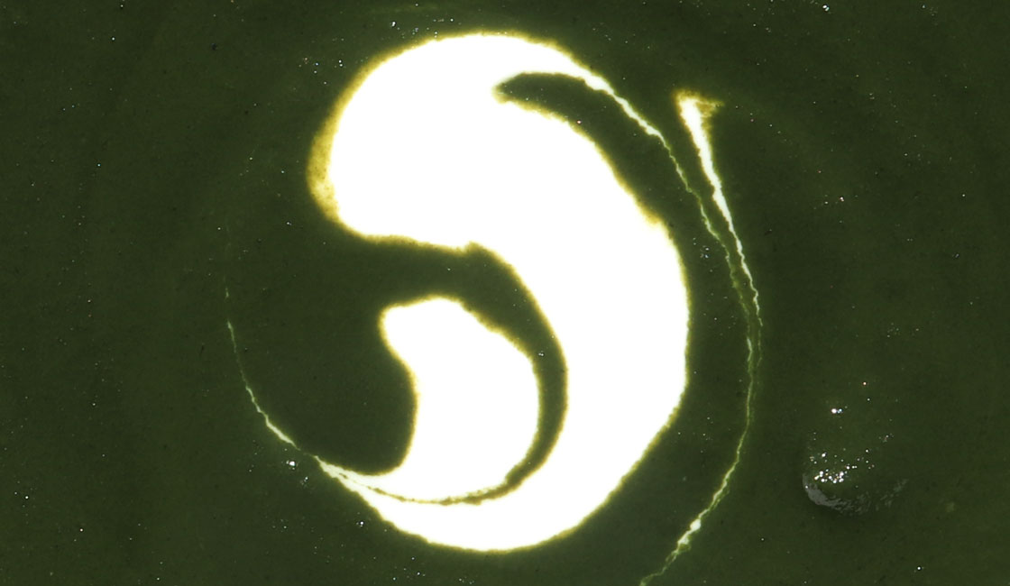 Soupe d&rsquo;orties fraîches