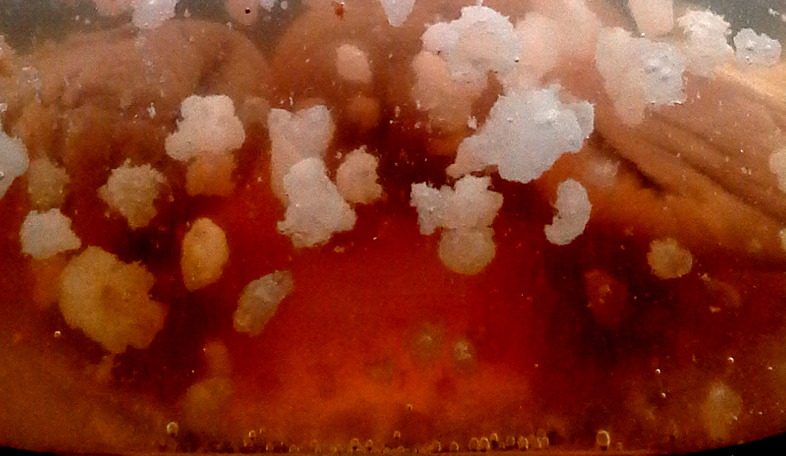 Kéfir de fruits