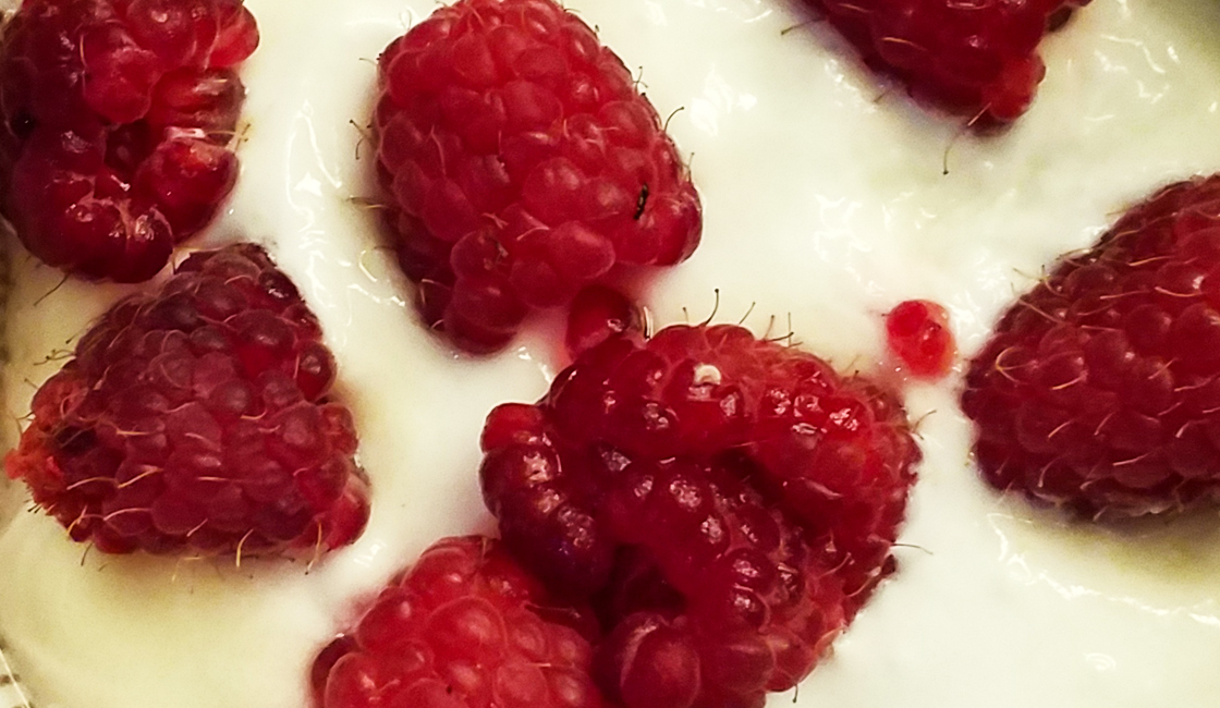Shrikhand à la framboise
