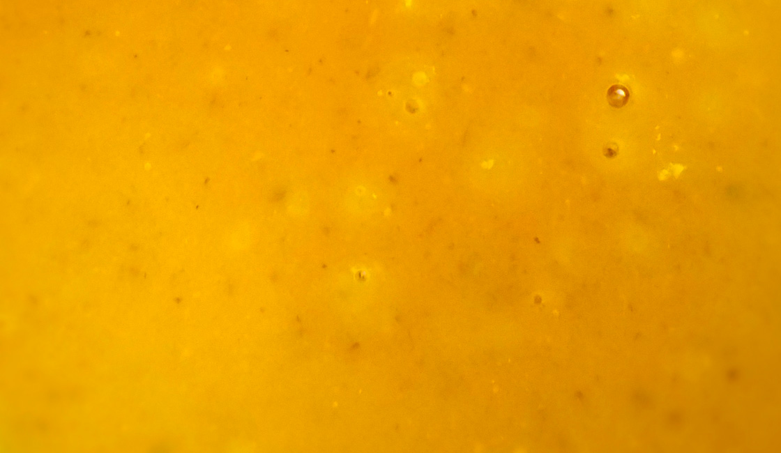 Soupe butternut et marrons