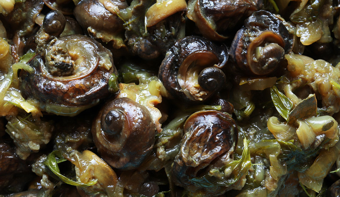 Escargots du jardin en sauce