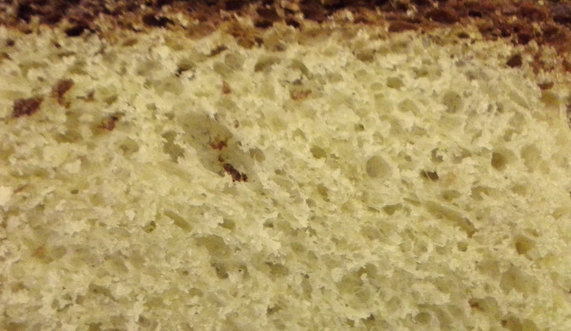 Brioche