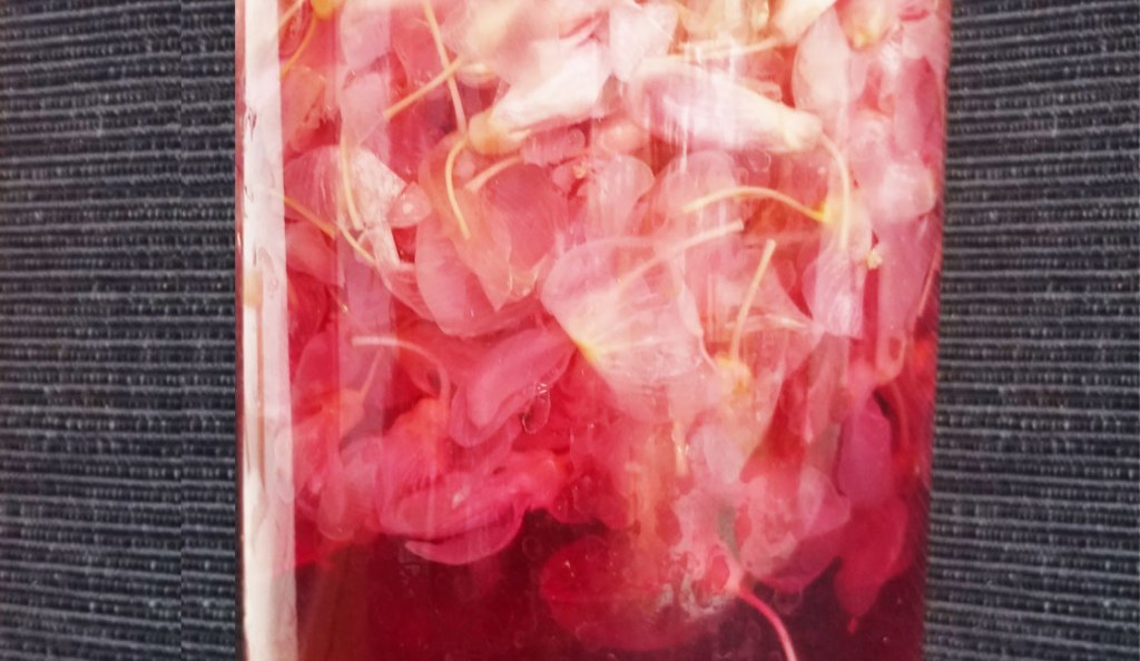 Vinaigre ménager à la&nbsp;glycine