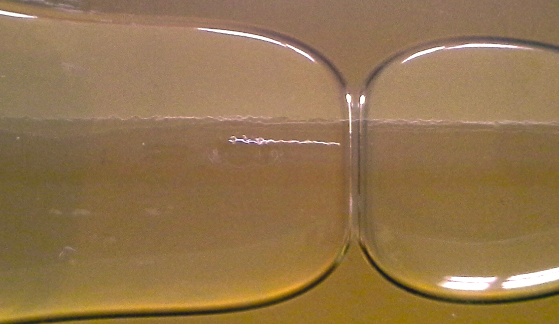 Sirop de fleurs d&rsquo;acacia