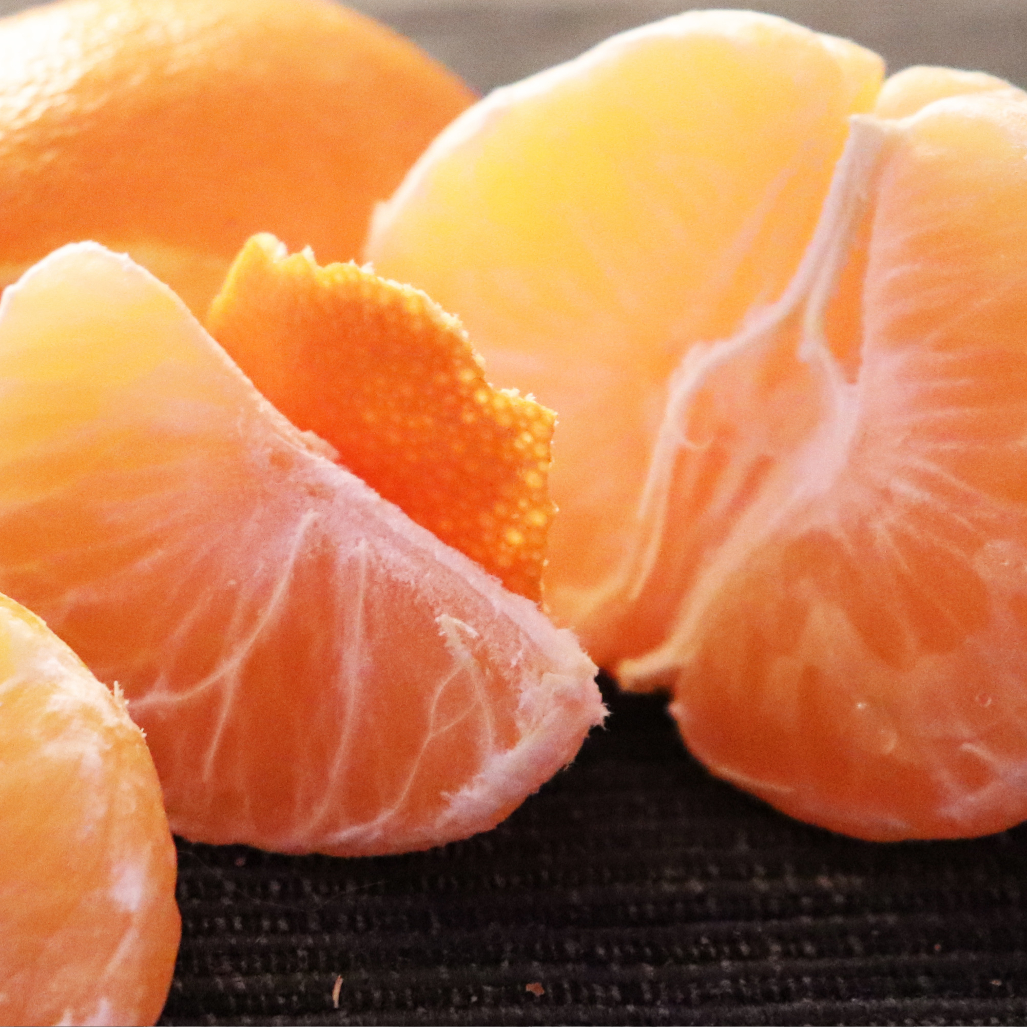 Polars et pot au feu